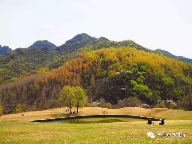 李家楼煤业创新高 日产原煤超4600吨